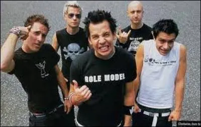 De quel pays le groupe Simple Plan est-il originaire ?