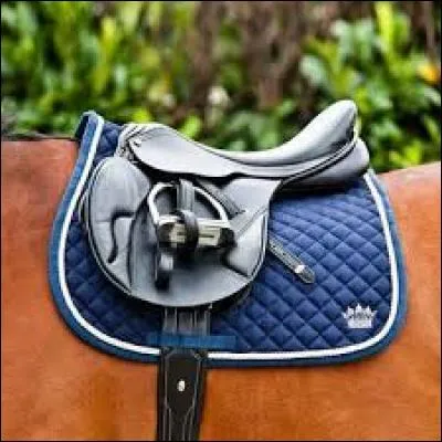 Que faut-il faire avant de poser une selle sur un poney ?