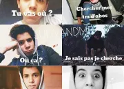 Quiz Sulivan Gwed/Un Panda Moqueur