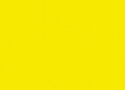 Quiz Le jaune