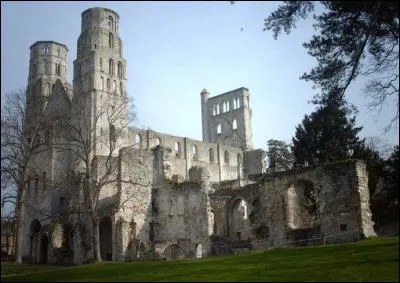 De l'abbatiale édifiée au XIe siècle, il reste ces magnifiques ruines en bordure de Seine. Où sommes-nous ?