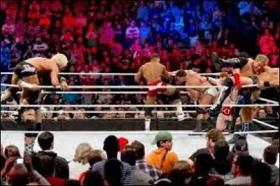 Qui a remporté le Royal Rumble Match 2015 ?