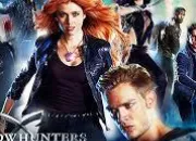 Quiz Shadowhunters