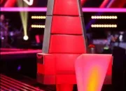 Quiz The Voice