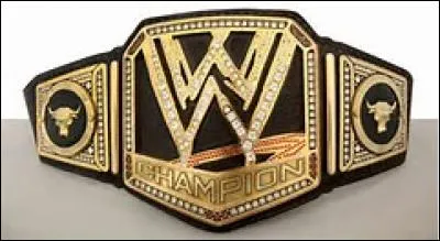 Quel a été le plus jeune champion de la WWE World Heavyweight Championship ?