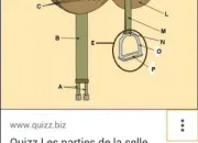 Quiz Parties de la selle