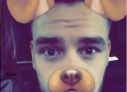 Quiz Liam Payne - 2016