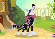 Quiz Animal Jam