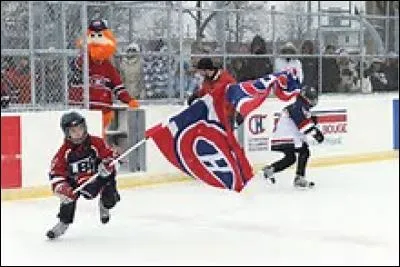 Quel est l'aréna des "Canadiens de Montréal" et combien peut-elle accueillir de personnes ?