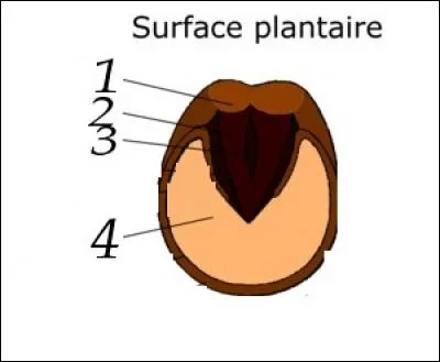 Quelles sont les parties 1 et 4 ?