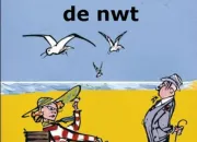 Quiz Nwt joue les incrustes !