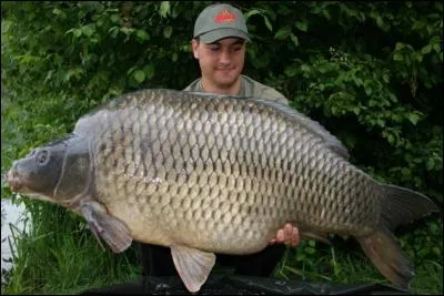 Avec quel appât pêche-t-on la carpe ?