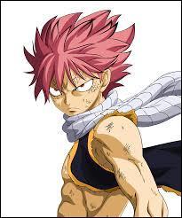 Quiz Fairy tail