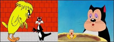 Ce personnage a été créé en 1942 par Bob Clampett et Friz Freleng. En version originale, une de ses phrases favorites est : « I tawt I taw a putty tat » ! 
Quel est ce personnage pas si « innocent » que cela ?