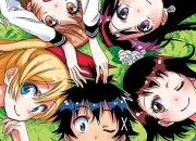 Quiz Nisekoi