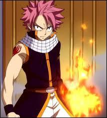 Quiz Fairy tail