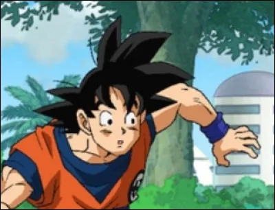 Dans "Dragon Ball Super", un personnage a fait son apparition, qui est-ce ?