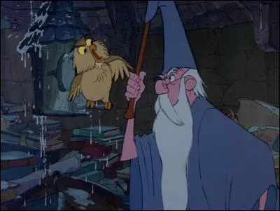 Dans "Merlin l'enchanteur" de Walt Disney, comment s'appelle le hibou de Merlin ?