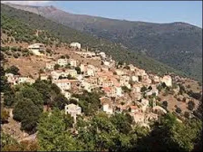 Pour commencer notre balade dominicale, je vous emmène sur l'Ile de Beauté, à Asco. Village de l'arrondissement de Corte, il se situe dans le département ...