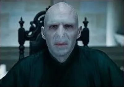 Qui est Voldemort ?