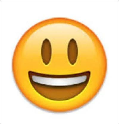 Que veut dire ce smiley ?