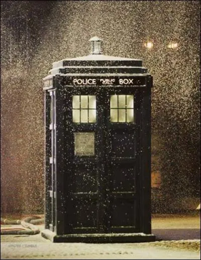 Que signifie TARDIS ?