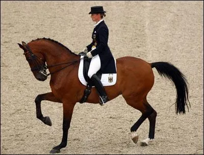 Quand on est à poney, peut-on faire du dressage ?