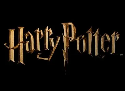 Dans le premier "Harry Potter", qui est celui qui protège Harry ?