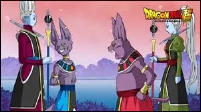 Comment s'appelle le dieu de la destruction de l'univers 6 dans "Dragon Ball Super" ?