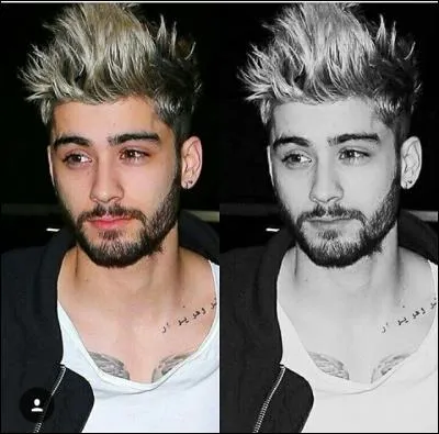 Quand est né Zayn ?