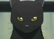 Quiz Les chats dans les mangas/animes