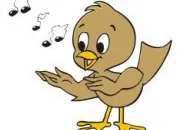 Quiz Les chants d'oiseaux