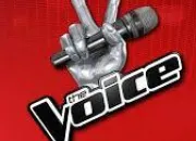 Quiz The Voice