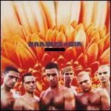 Quel est le 1er album de Rammstein ?