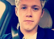 Quiz Fan de Niall Horan