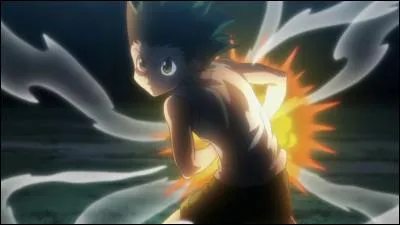 Quelle est la technique favorite de Gon ?