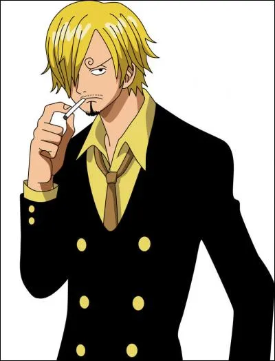 Avec qui Sanji se bat-il tout le temps ?