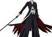 Quiz Bleach : Bankai