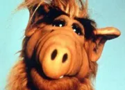 Quiz Alf