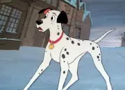 Quiz Les 101 dalmatiens 1