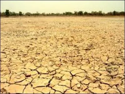 L'Afrique recouvre 14% de la superficie de la Terre.