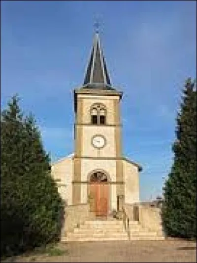 Nous commençons cette promenade en Meurthe-et-Moselle, à Allamont. Nous sommes dans la nouvelle région ...