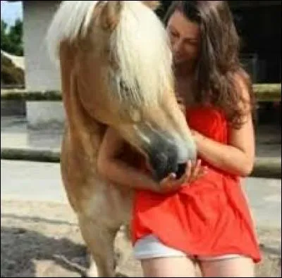 Comment s'appelle ce cheval ?