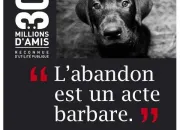 Quiz La fondation 30 Millions d'Amis