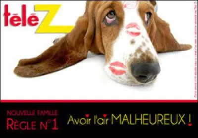 Quelle est la race du célèbre chien de Télé Z ?