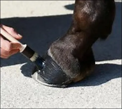 Il faut graisser les sabots du cheval au moins...