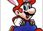 Quiz Mario lapin