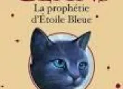 Quiz La prophtie d'toile Bleue