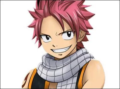 Quel est le nom de famille de Natsu ?