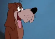 Quiz Les chiens de Disney